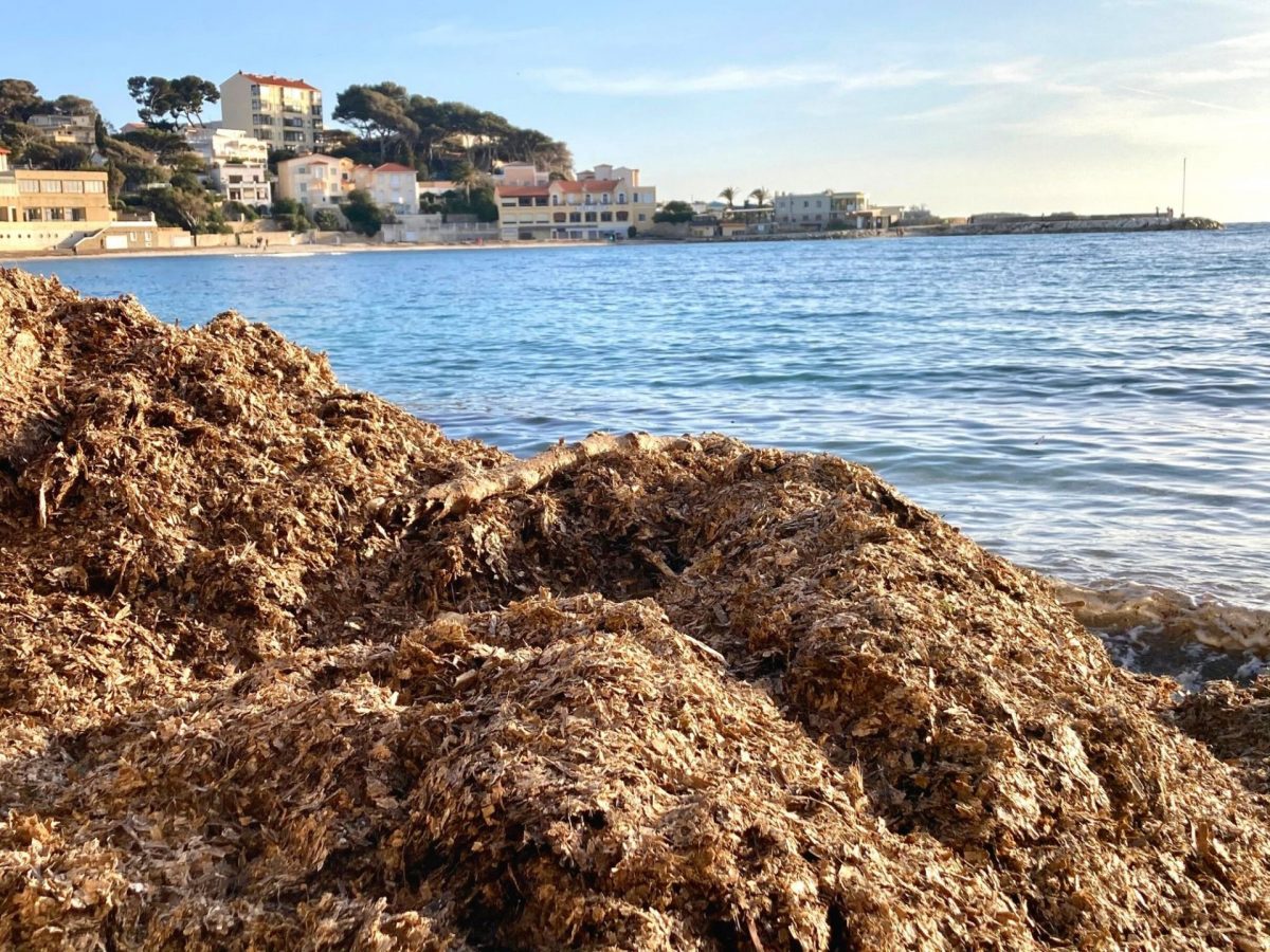 Visiter Bandol en hiver en solo une journée