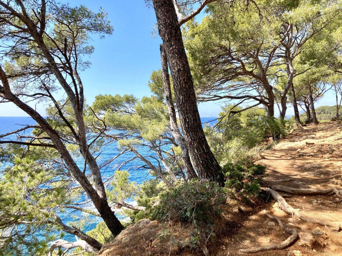 Visiter Bandol en hiver en solo une journée