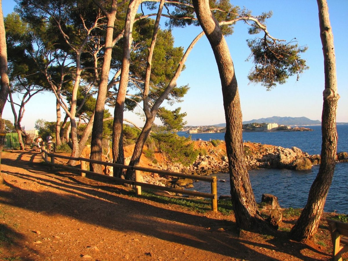 Visiter Bandol en hiver en solo une journée