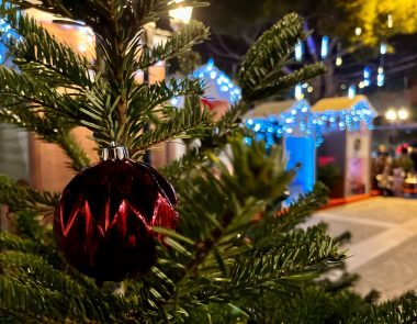 Visiter Bandol en décembre