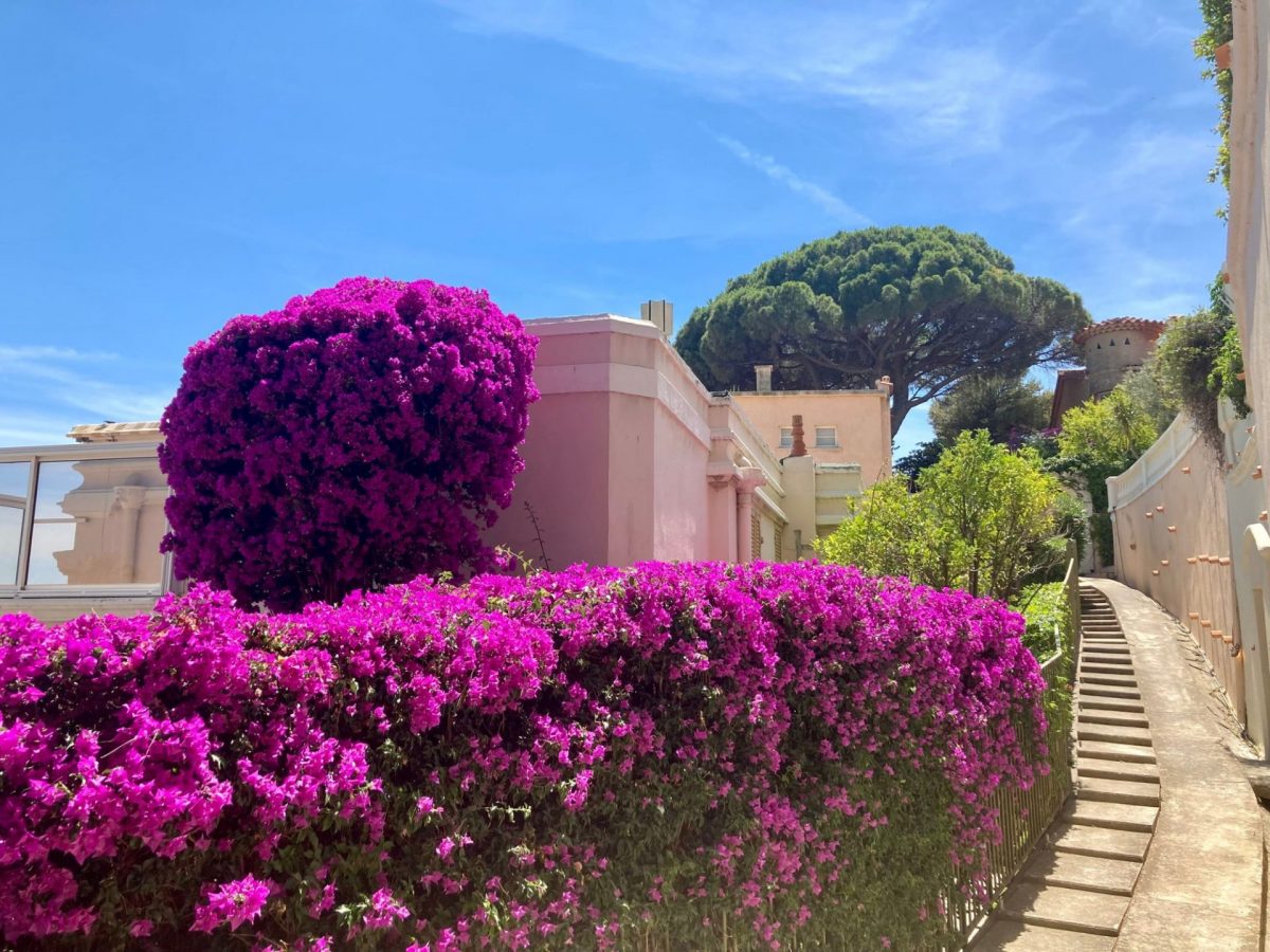 Parcours historique fleuri Bandol