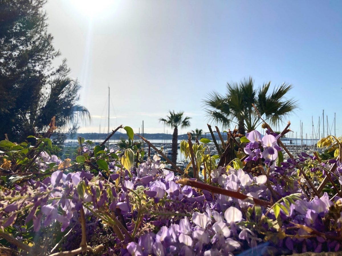 Parcours historique fleuri Bandol