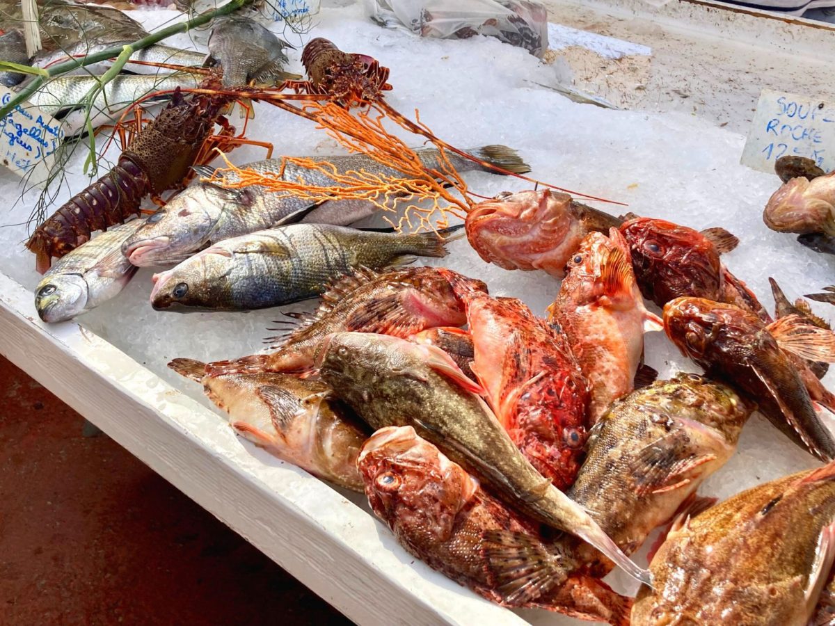 Visiter Bandol printemps marché