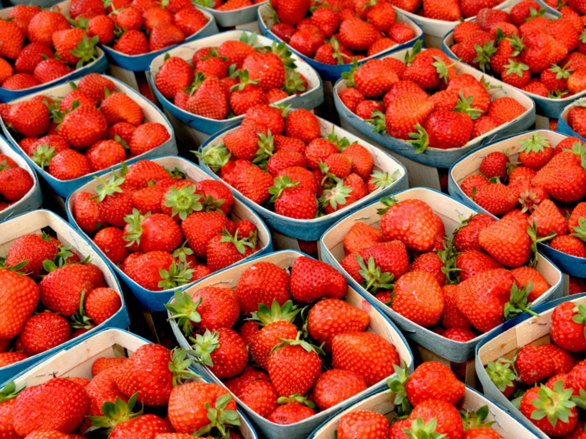 Visiter Bandol printemps marché