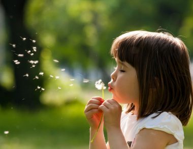 Stages et activités pour les enfants au Printemps