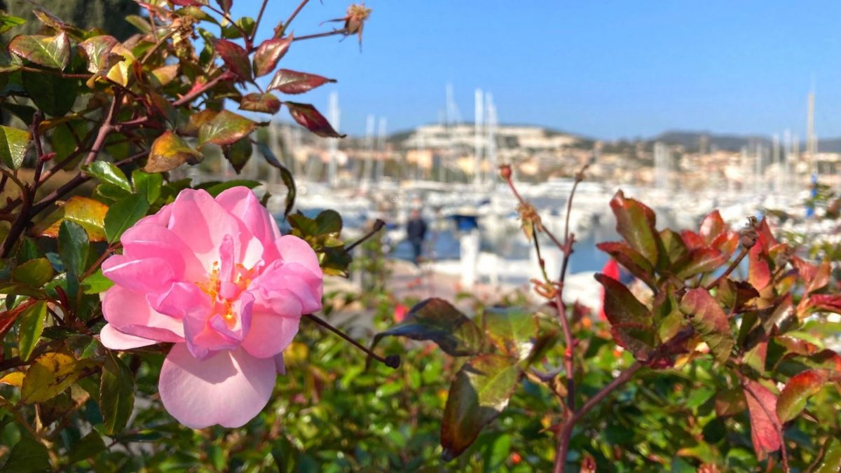 La météo à Bandol au printemps