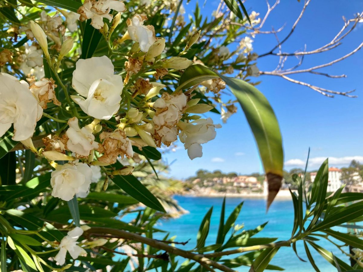 Visiter Bandol en couple au printemps