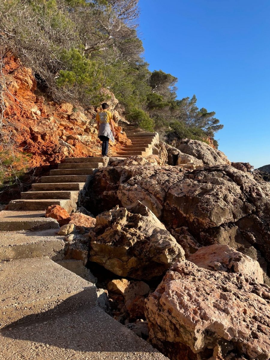 Bandol en Mars les engraviers