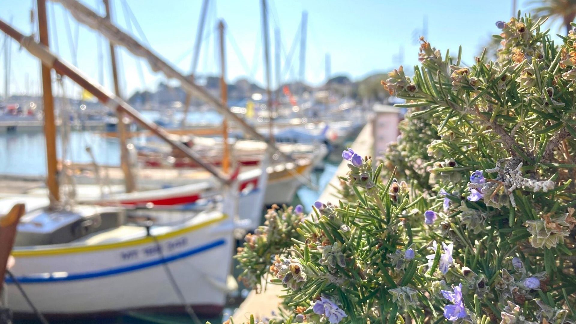 Nouveau compte instagram Bandol Tourisme