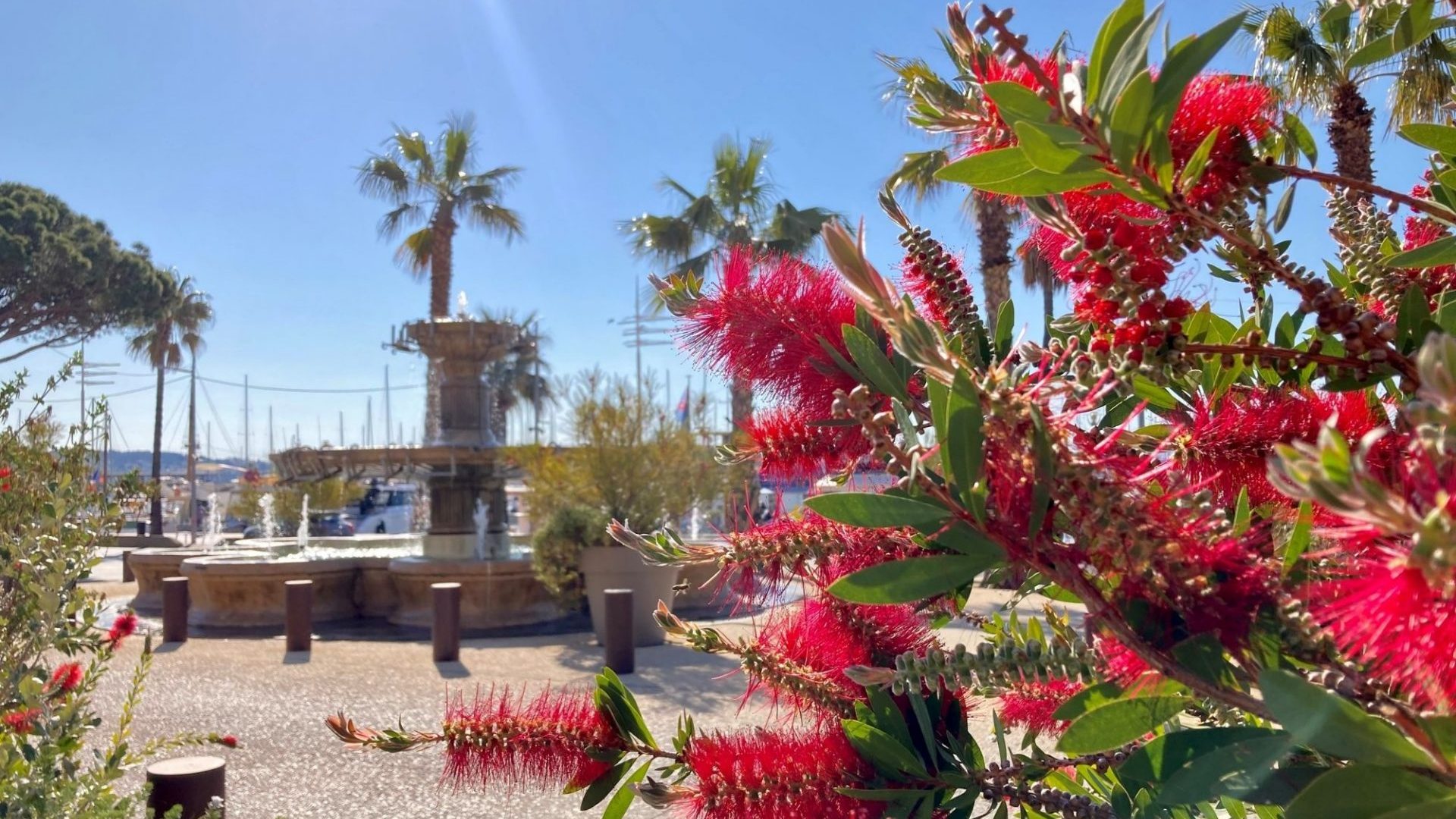 Bandol en Mai fleurs