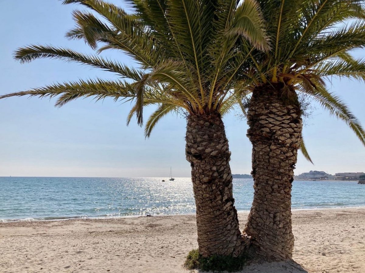 Bandol en Mai mer plage grand vallat