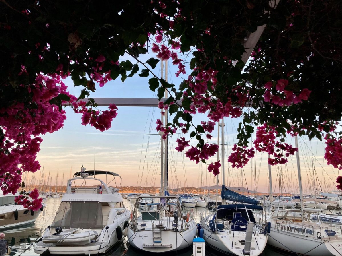 Bandol en Septembre port bougainvilliers coucher de soleil