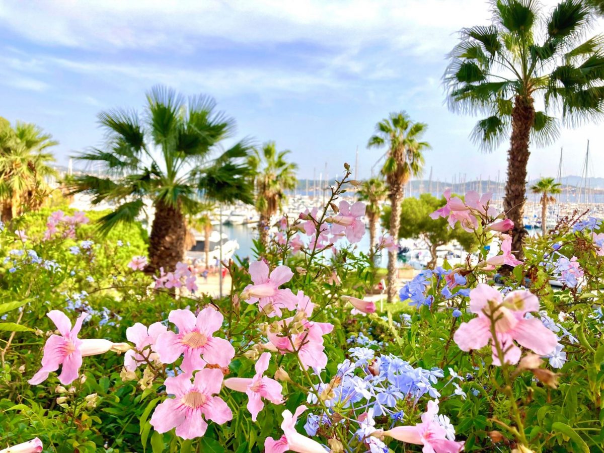 Bandol en Octobre fleurs port