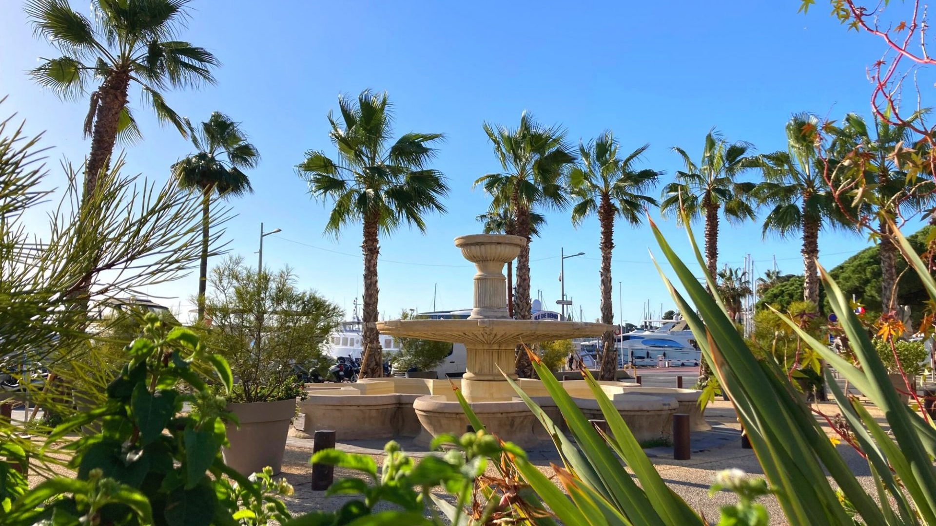 Visiter Bandol en Novembre fontaine palmiers