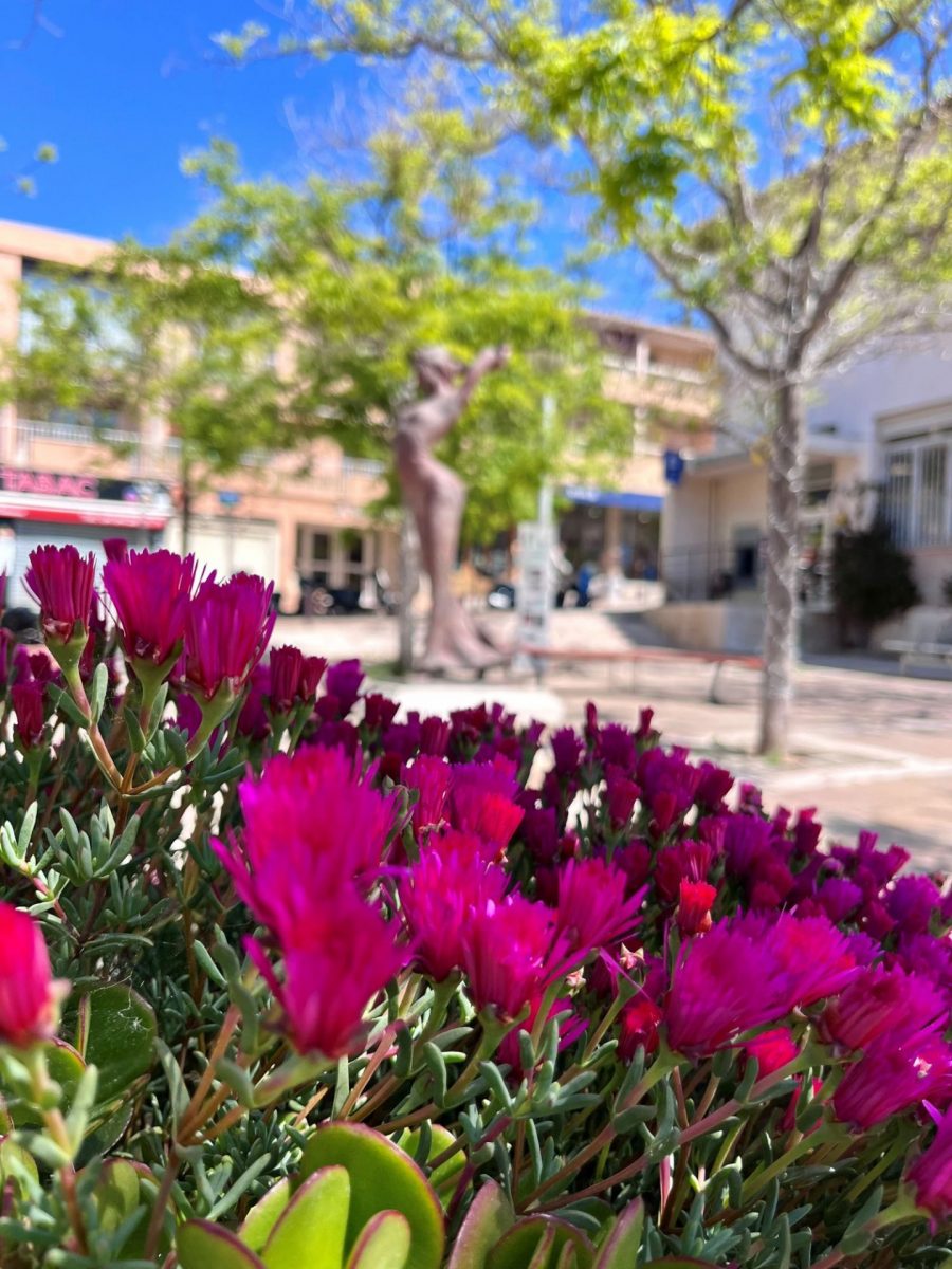 Fleurs visiter Bandol en avril