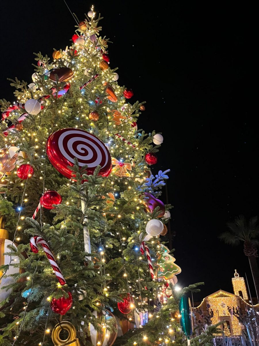 Bandol décembre sapin noel