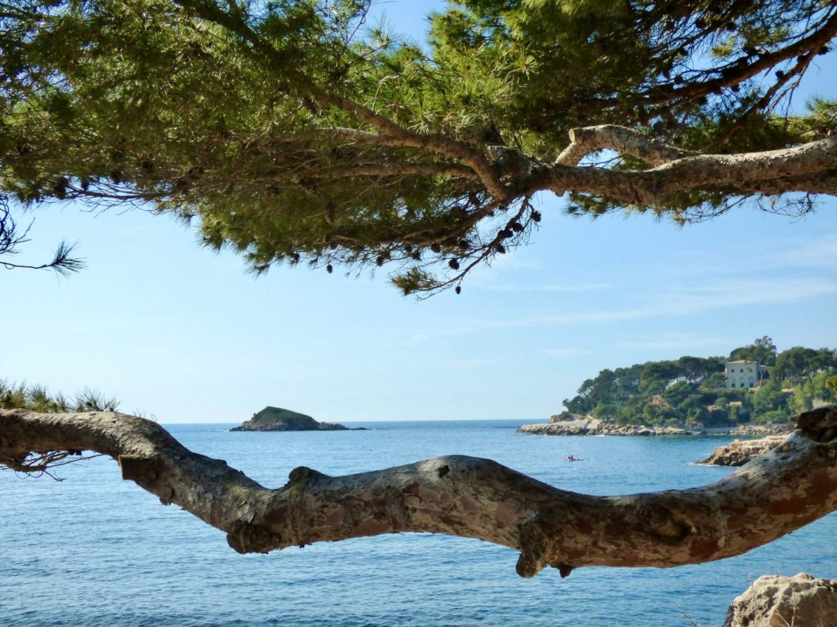 Bandol décembre sentier littoral