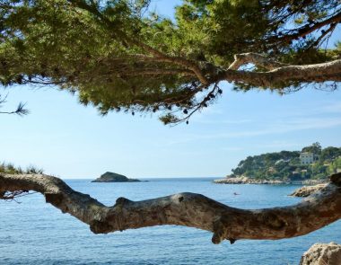 L’année 2023 à Bandol
