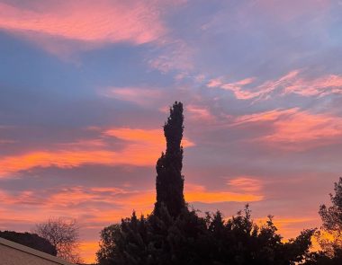 Visiter Bandol en janvier