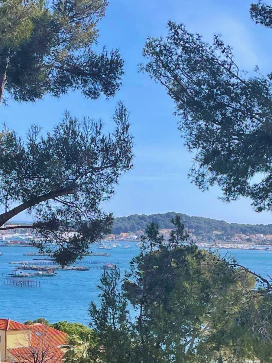 Vue Tamaris La Seyne-sur-mer