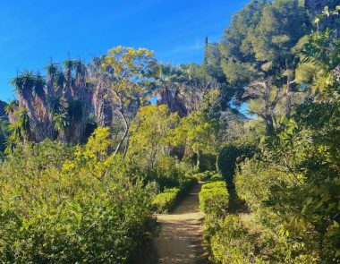 7 lieux inédits à visiter aux alentours de Bandol
