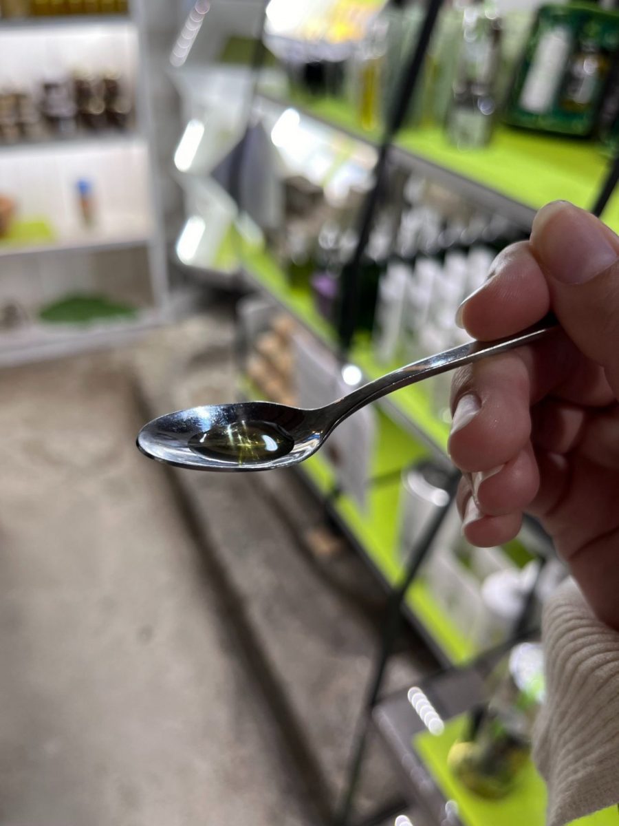 Moulin du Partégal : dégustation d'huiles d'olive