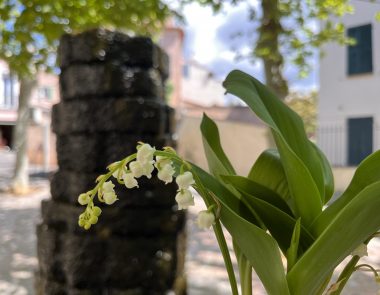 Visiter Bandol au mois de mai