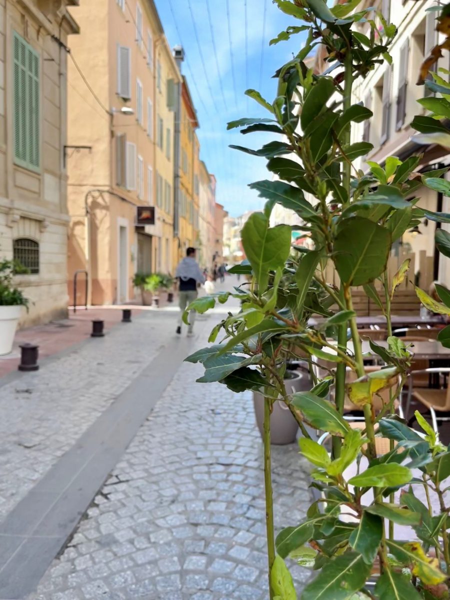 Rue Marçon à Bandol en mai