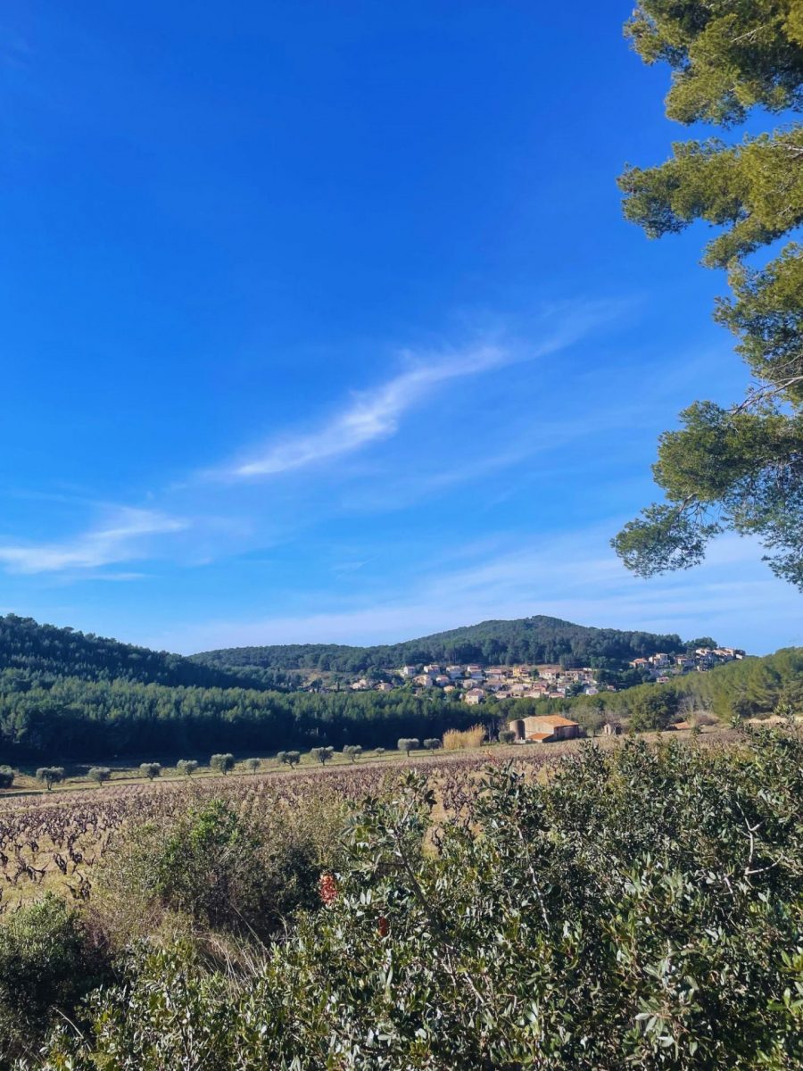 Le Sentier des Vignes à Saint-Cyr-sur-mer