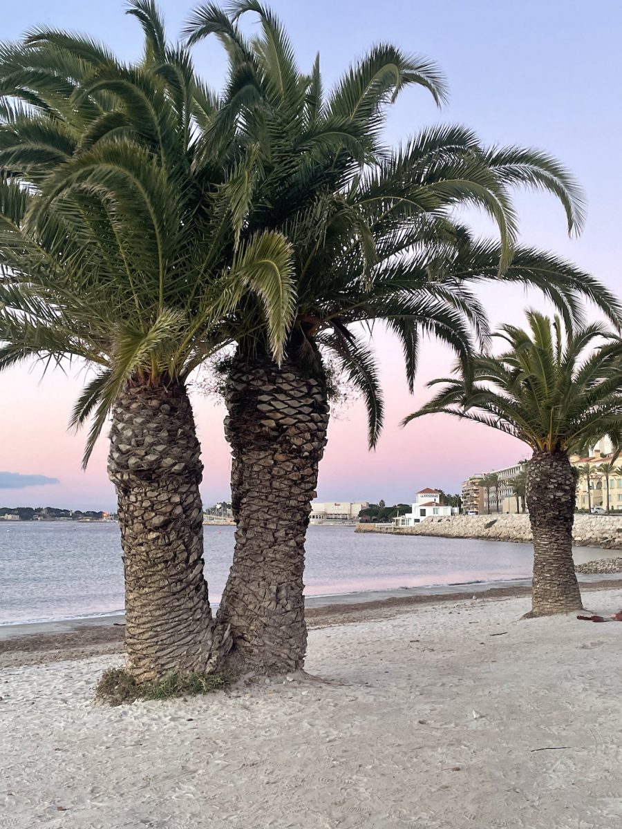 Plage du Grand Vallat Bandol juin