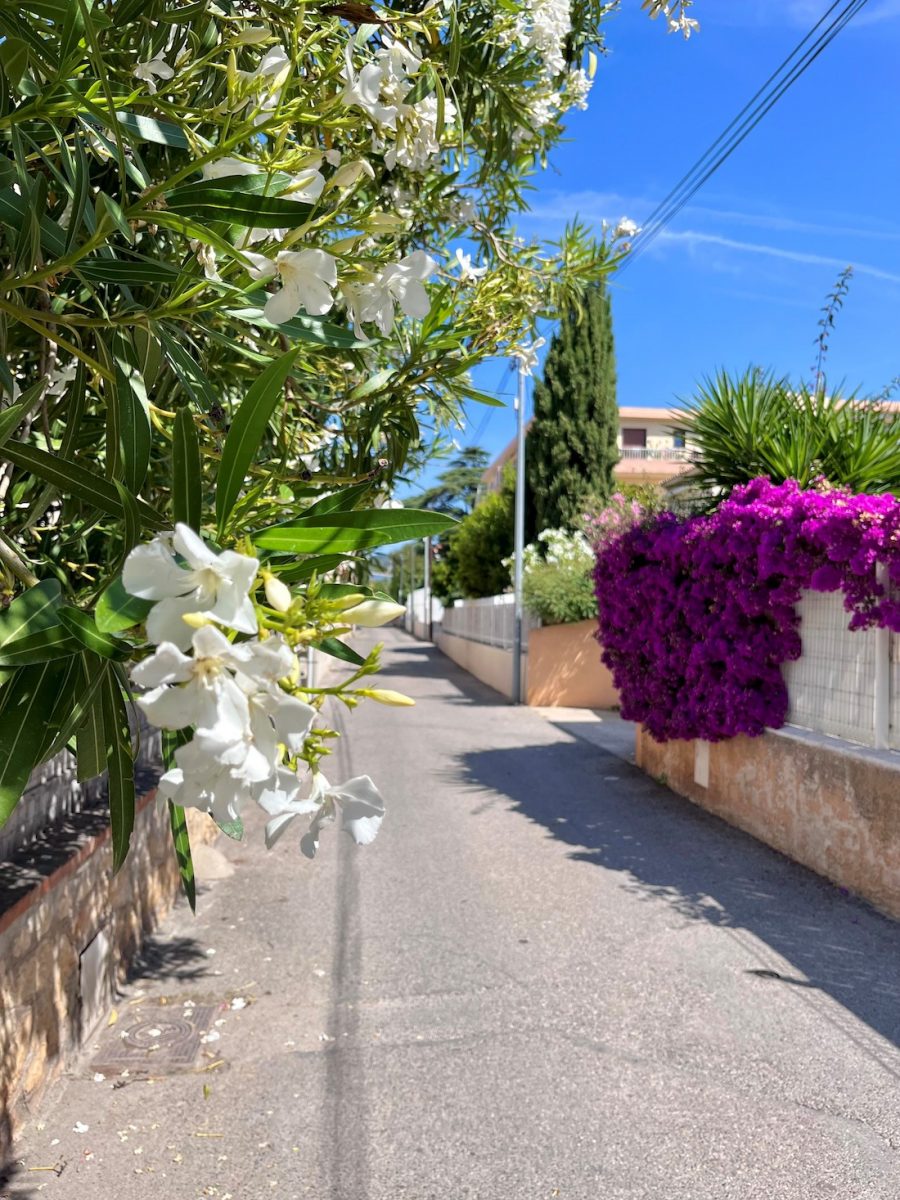 Rue Raimu Bandol juin