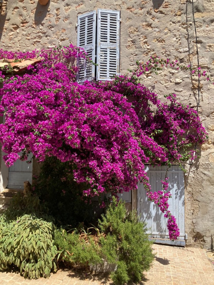 Village Le Castellet