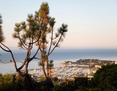 2024 à Bandol : l’album photos