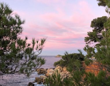 Visiter Bandol en novembre