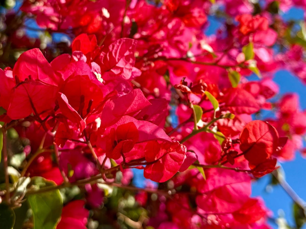 Visiter Bandol novembre