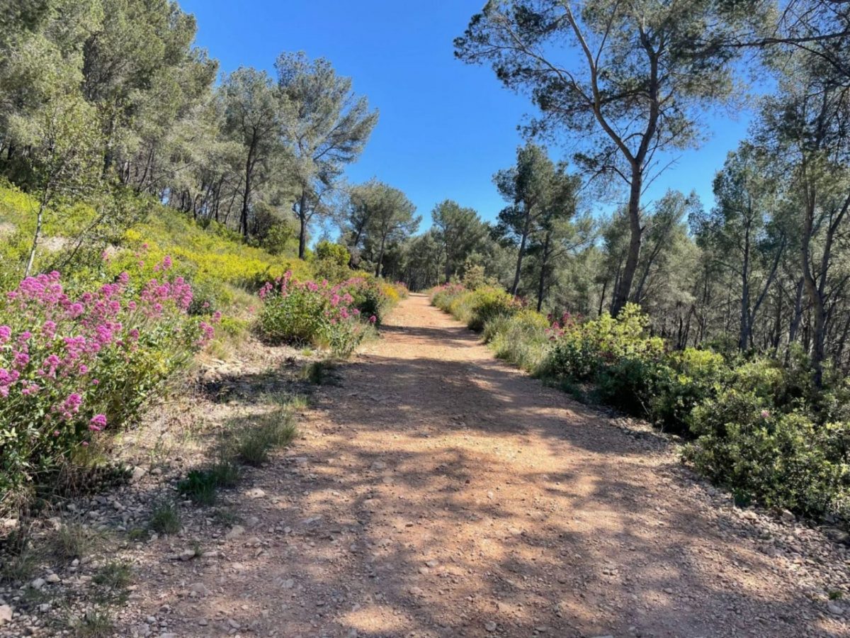 Visiter Bandol novembre randonnée