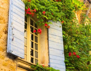 Zoom sur nos voisins : visite de Signes