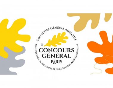 Concours Général Agricole 2025 : les Vins de Bandol à l’honneur