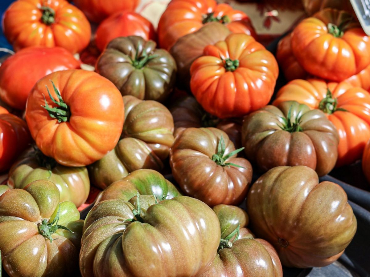Tomates marché Evenos