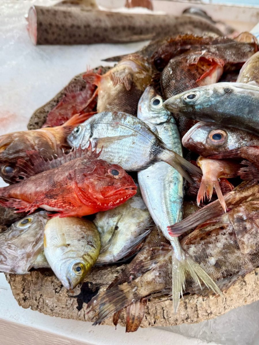 Marché Bandol Février
