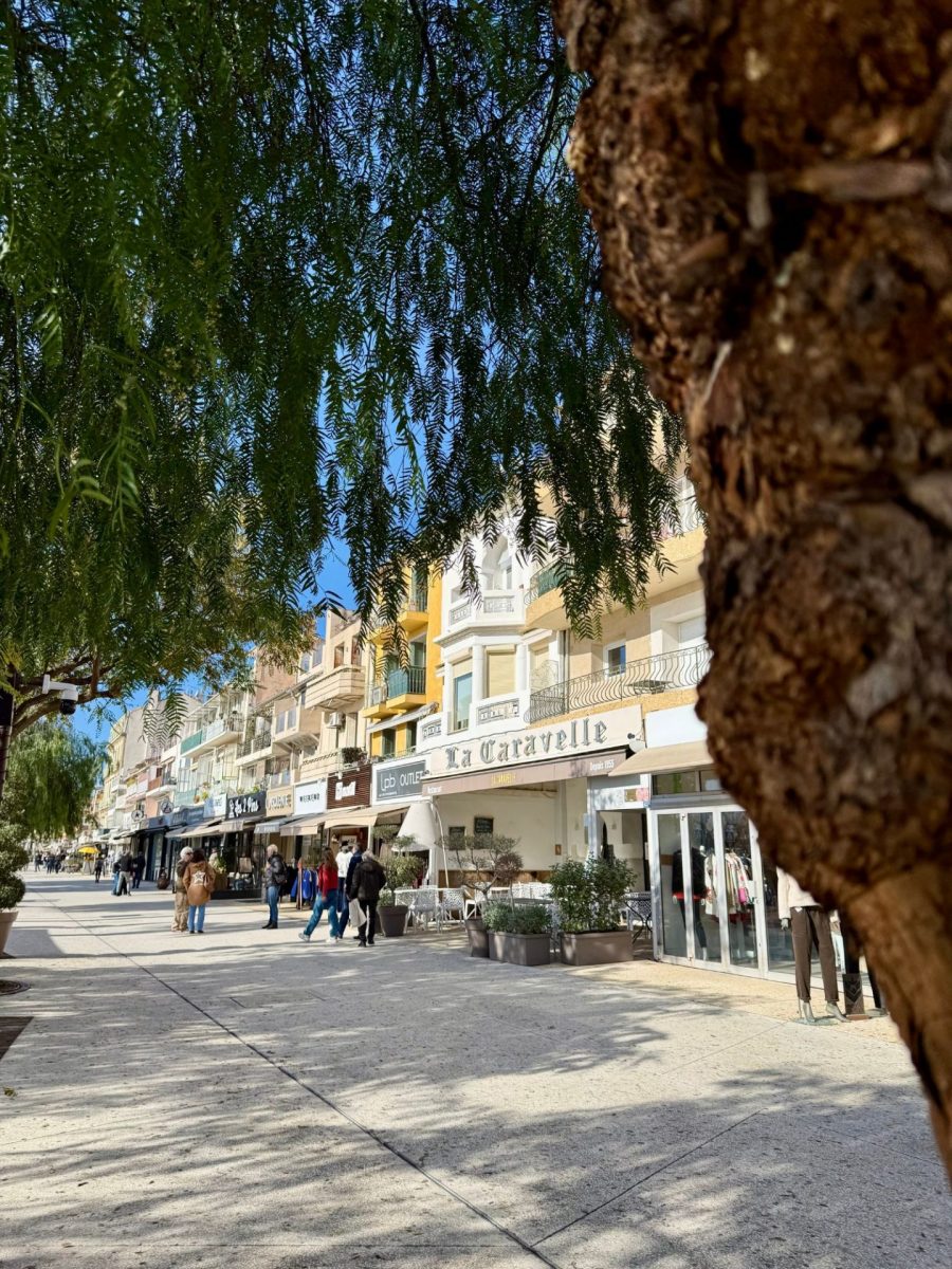 Quai Charles de Gaulle Bandol février