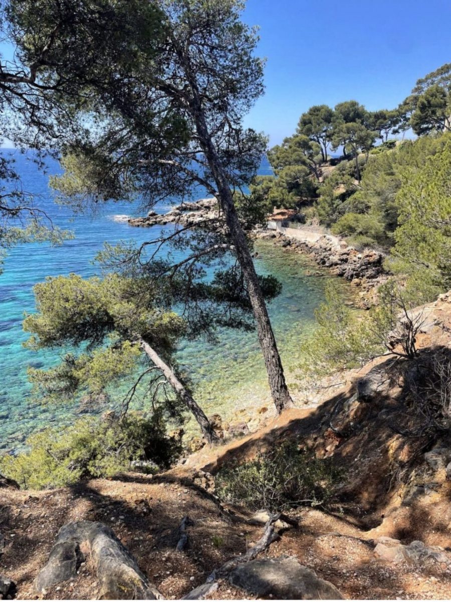 La nature à Bandol - criques de galets