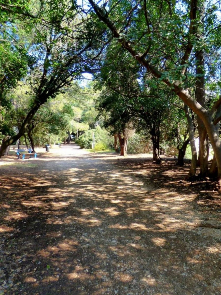La nature à Bandol - les parcs