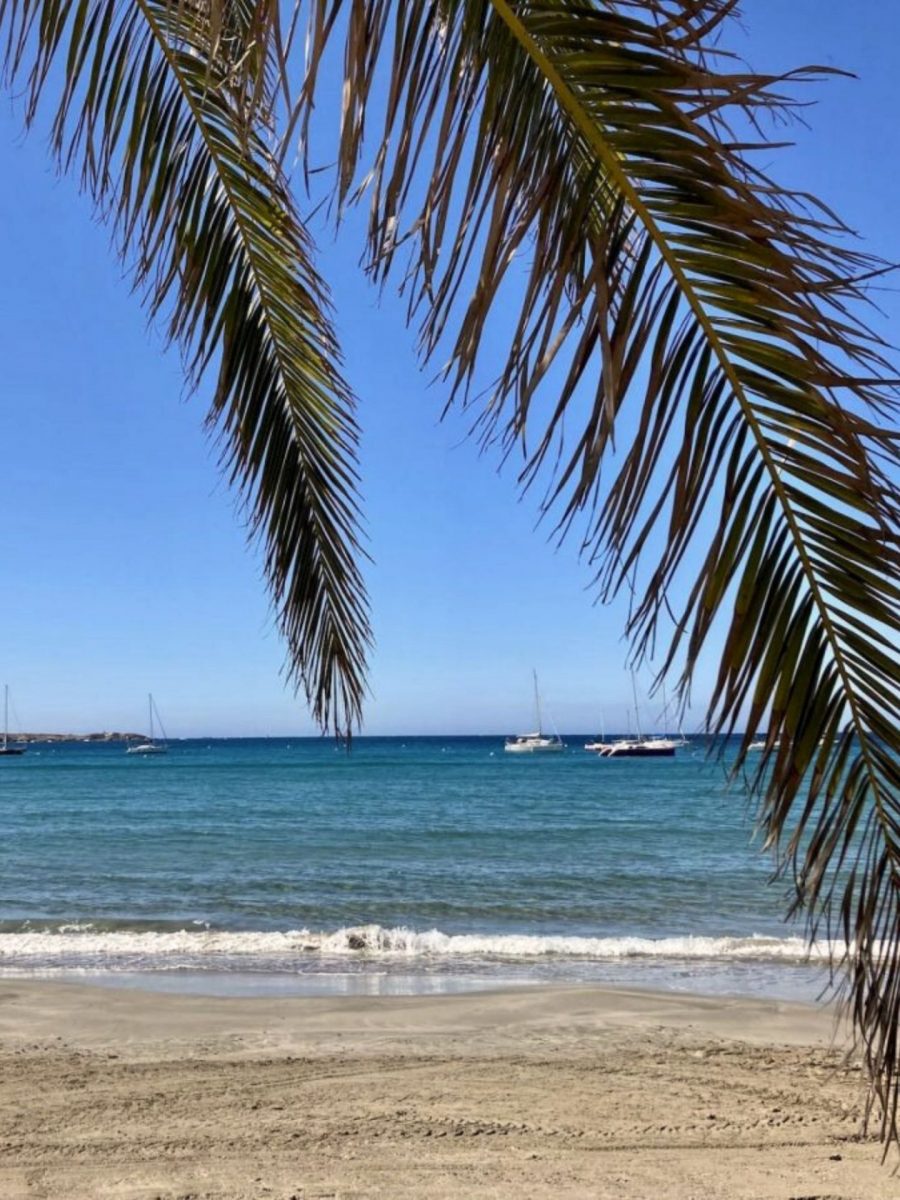 La nature à Bandol - plages de sable