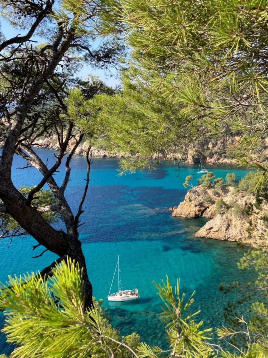 La nature à Bandol - sentier du littoral