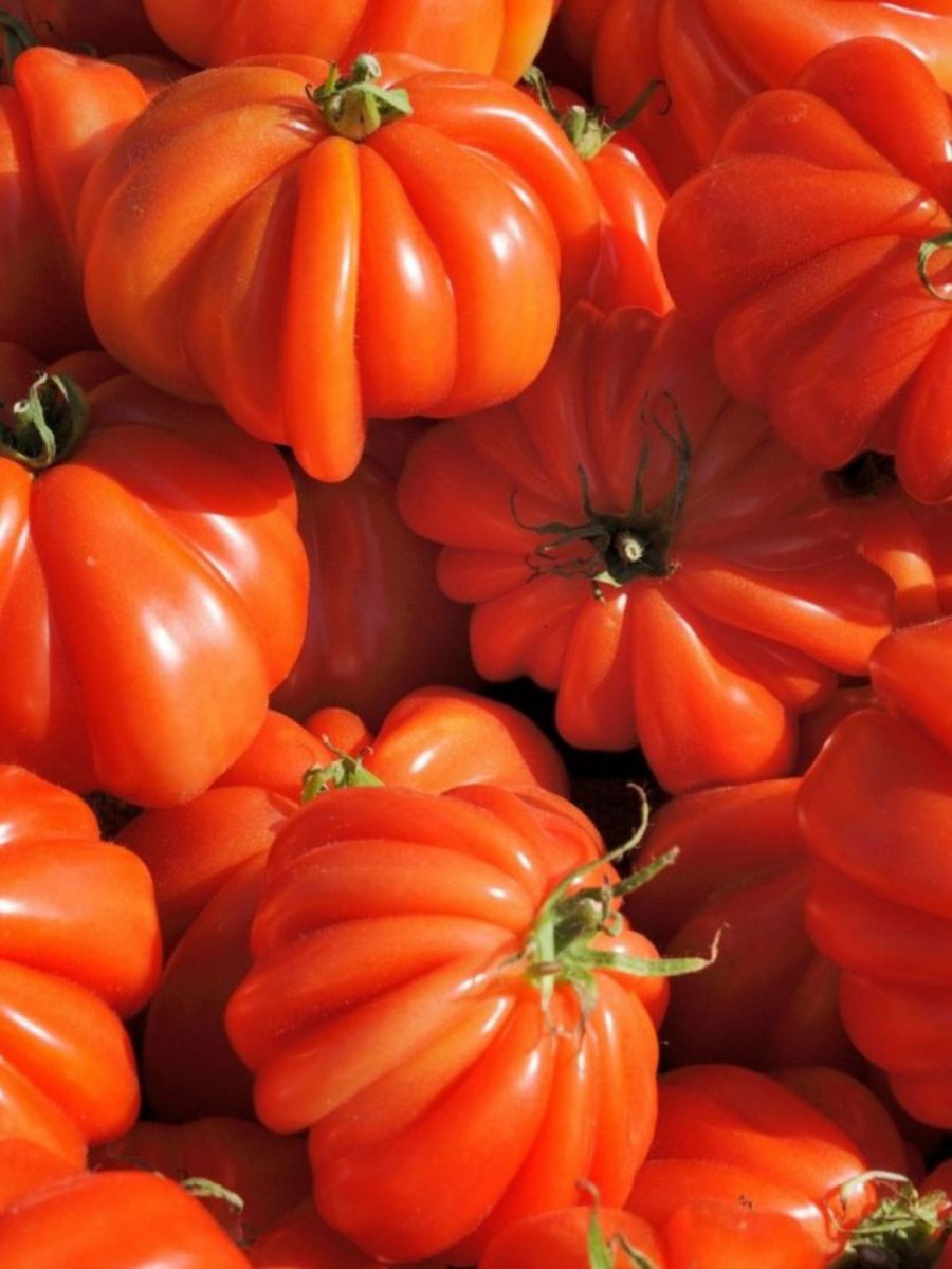 Goûts du terroir - Les marchés à Bandol