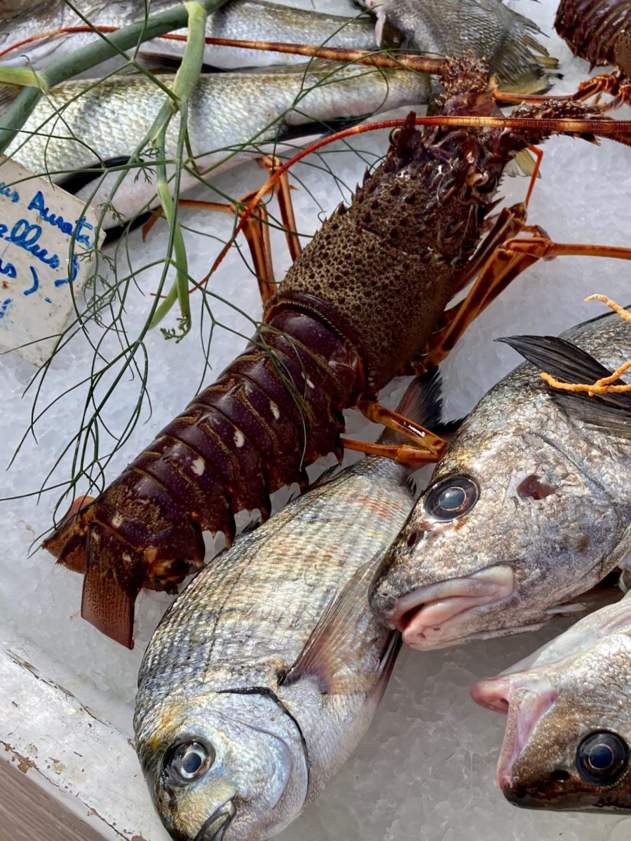 Goûts du terroir - Les pêcheurs à Bandol