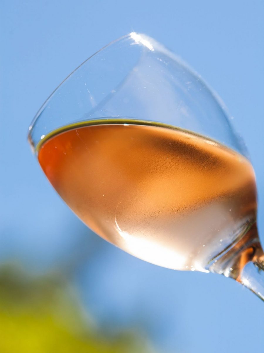 Goûts du terroir - Domaine des Hautes à Bandol