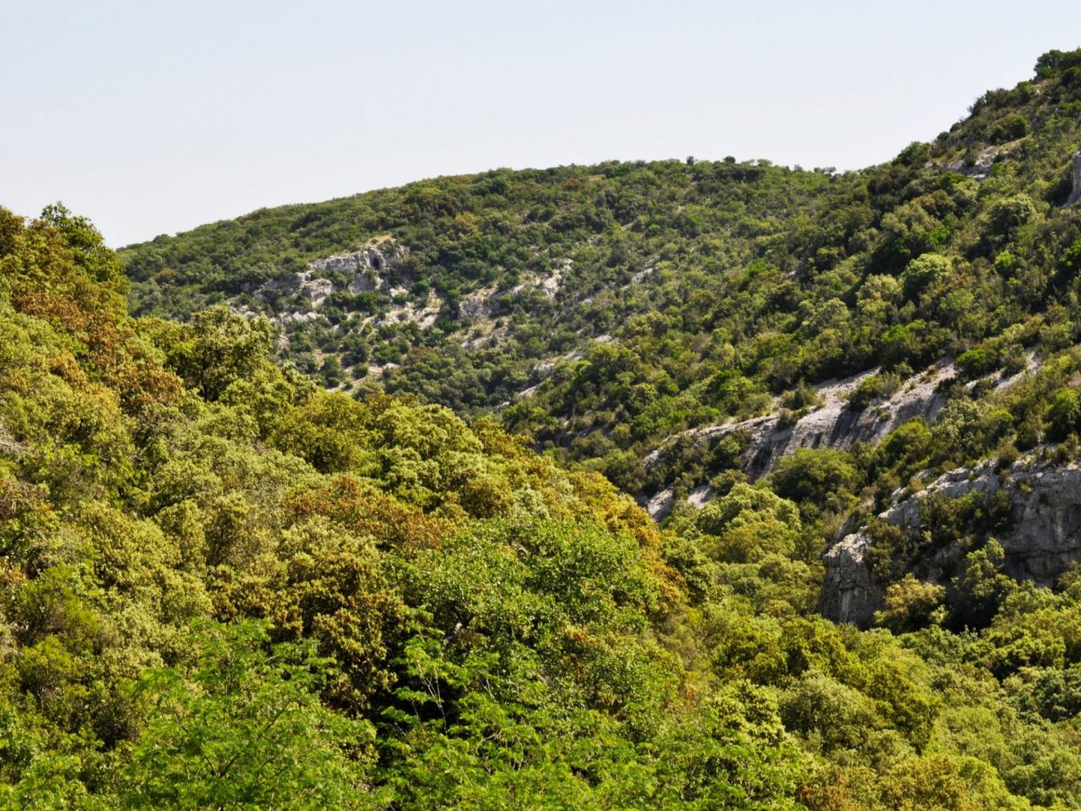 Massif de la Sainte-Baume Var