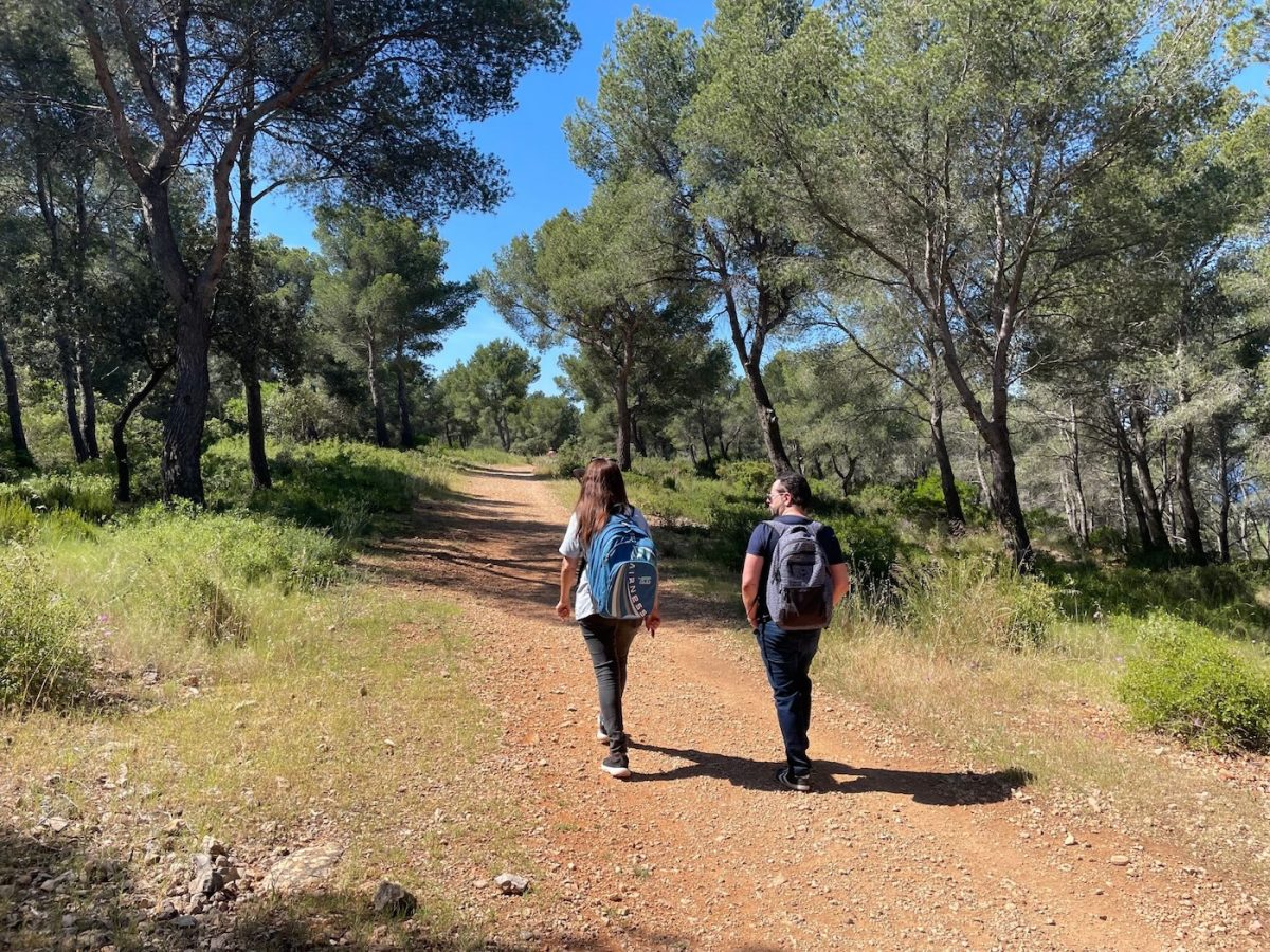 Les parcours touristiques à Bandol
